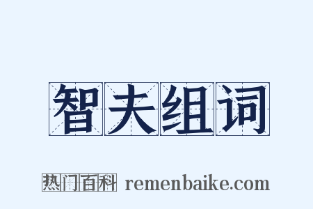 智夫组词是什么意思的图片